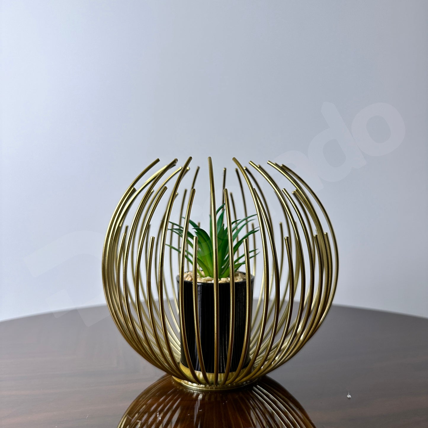 Golden Globe with Inside Plant