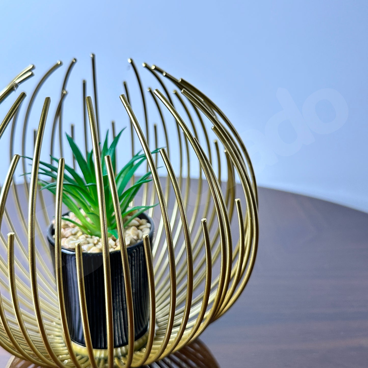 Golden Globe with Inside Plant