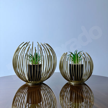 Golden Globe with Inside Plant