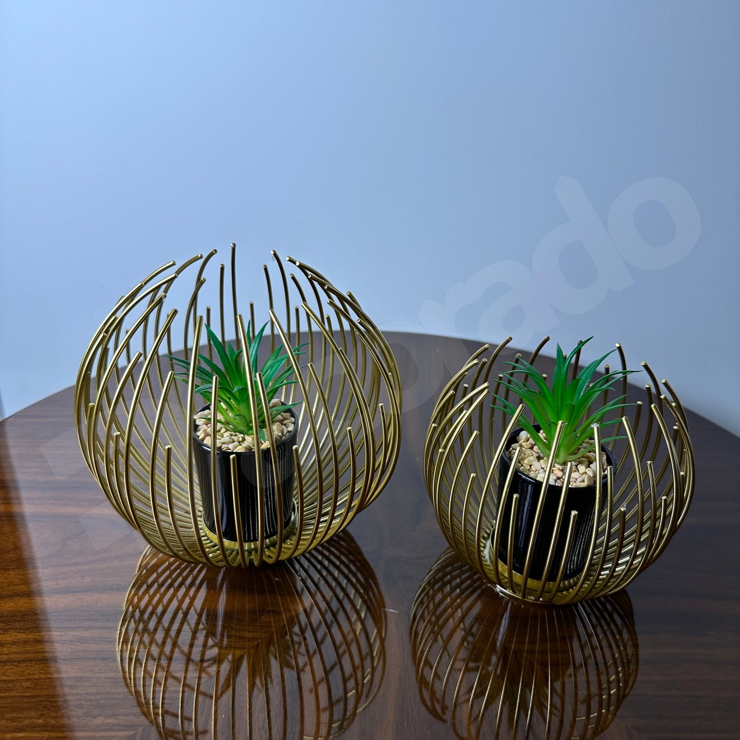 Golden Globe with Inside Plant