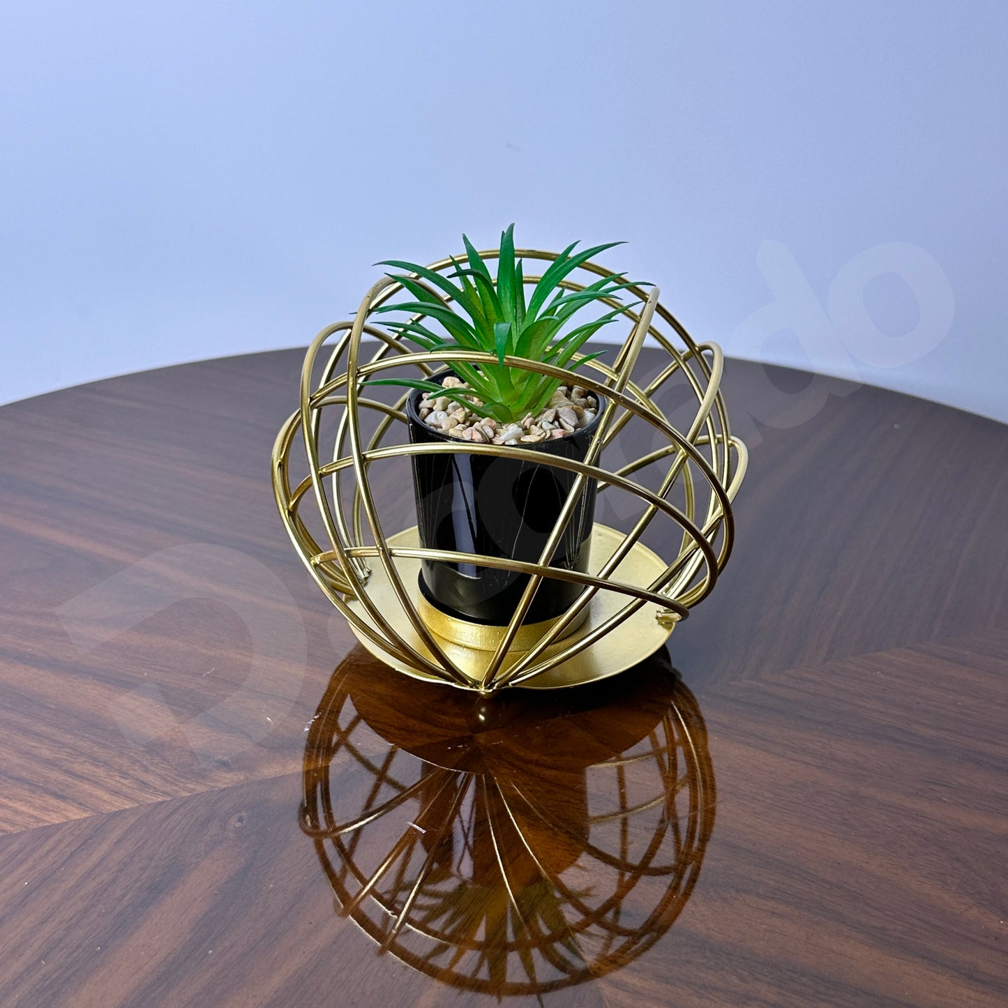 Golden Spherical Globe with Plant Inside