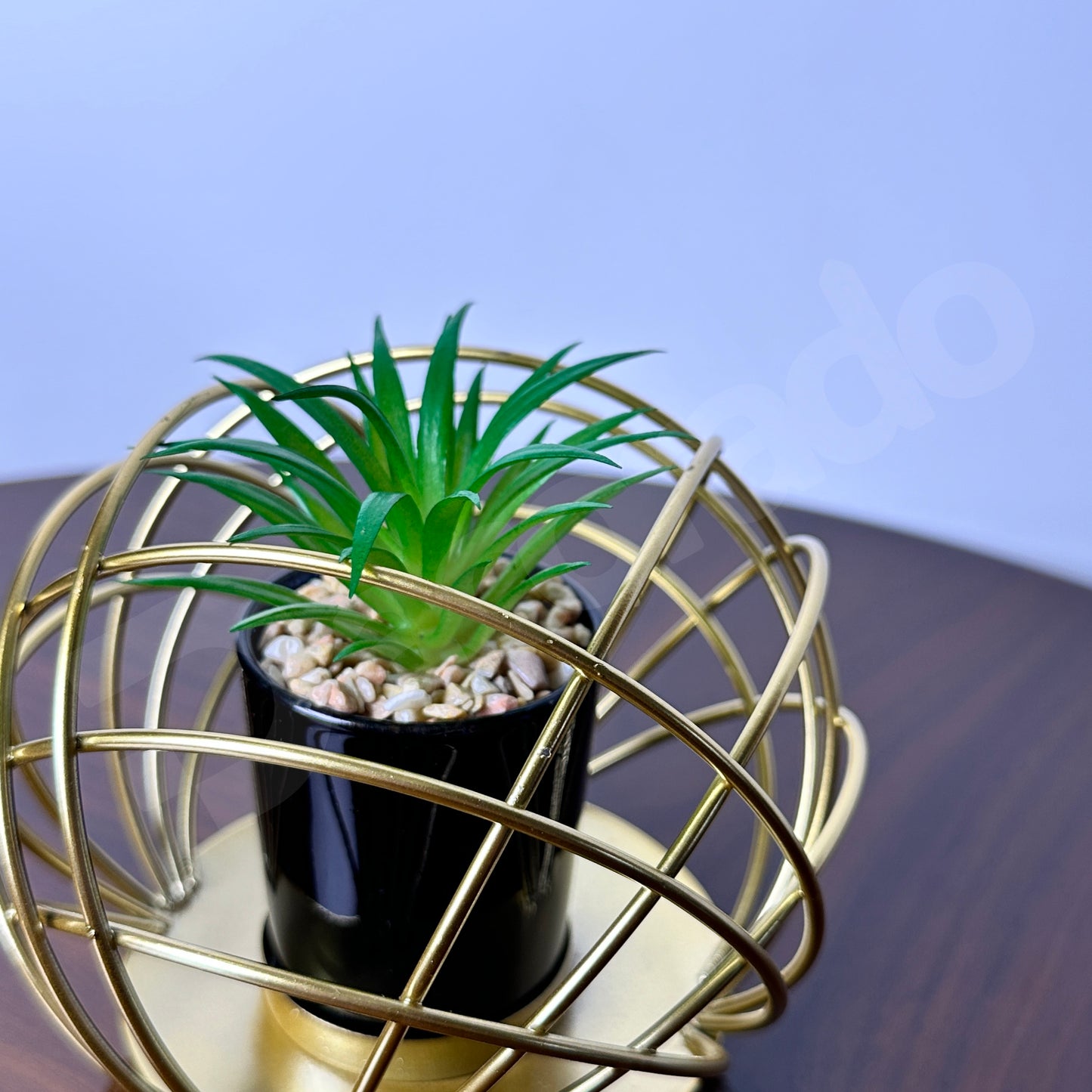 Golden Spherical Globe with Plant Inside