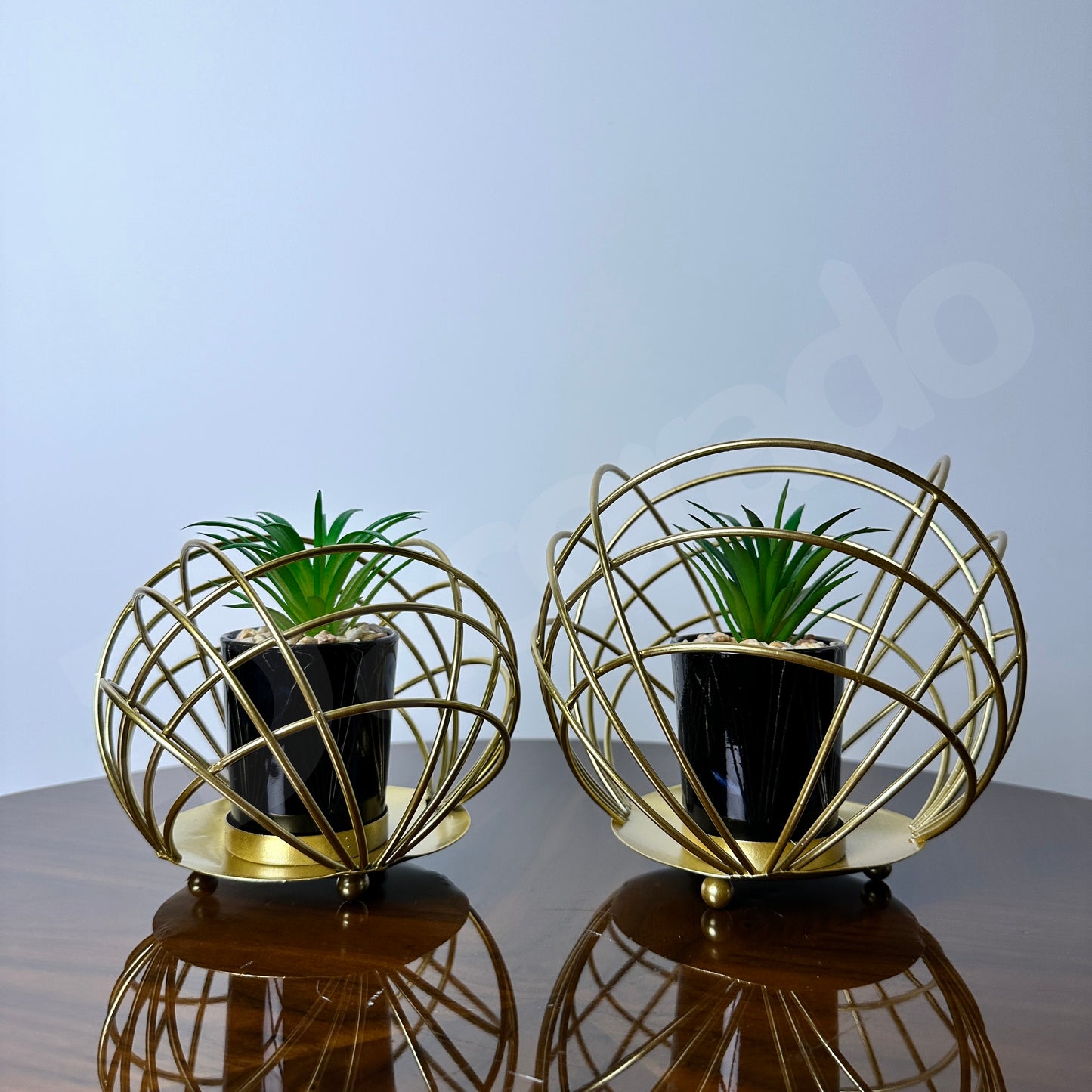 Golden Spherical Globe with Plant Inside