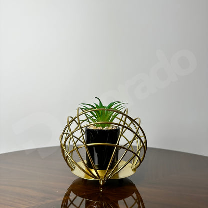 Golden Spherical Globe with Plant Inside