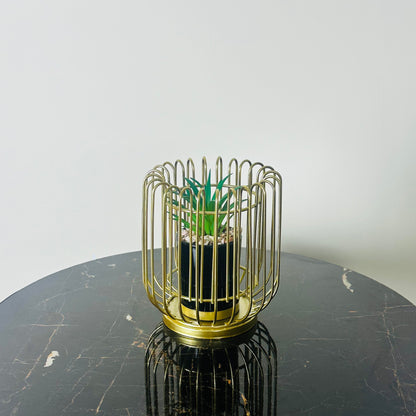 Golden Cage With Inside Plant